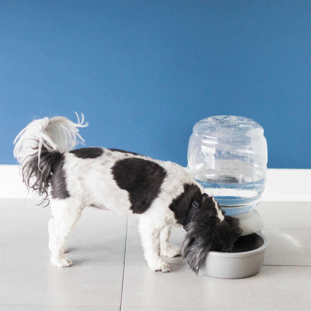 Waterer G44838
