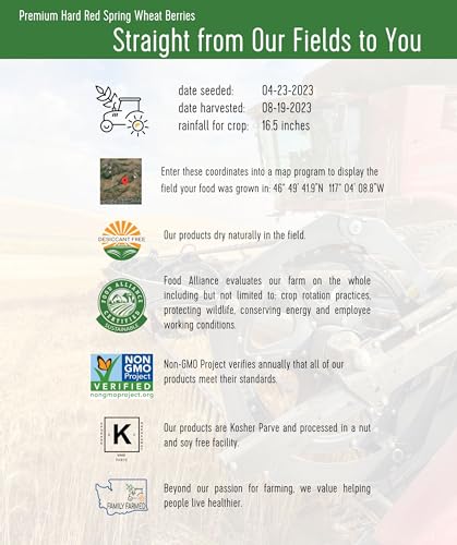 25 LBS Hard Red Spring Wheat Berries R15542