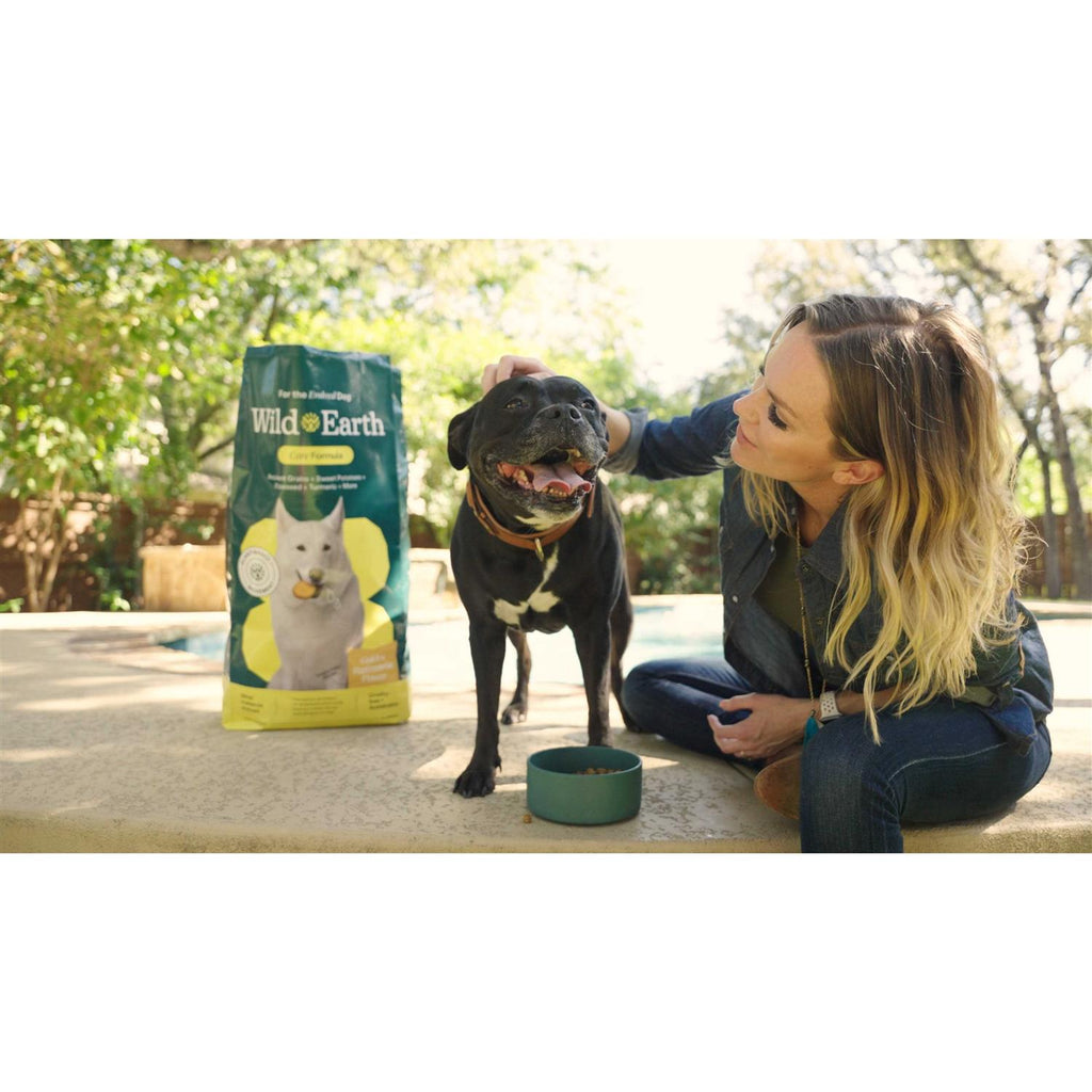 Golden Rotisserie Flavor Dry Dog Food X44335