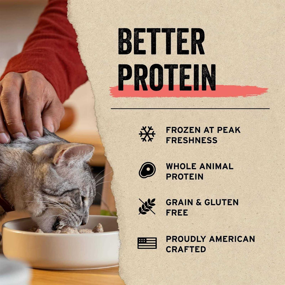 Freeze-Dried Raw Cat Food I2678