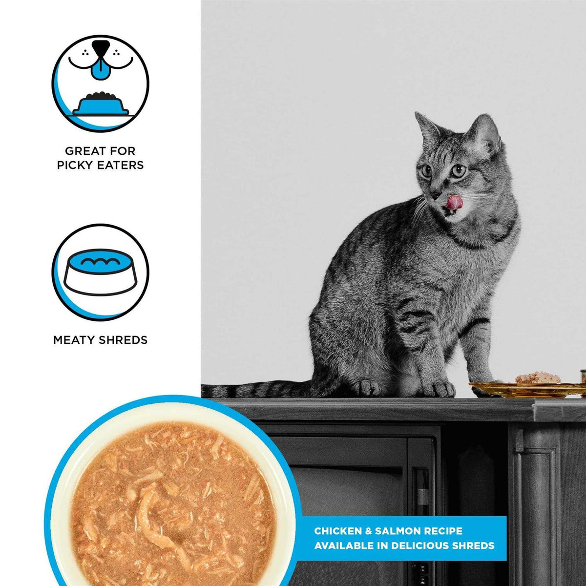 Chicken Recipe Shredded Canned Cat Food U183207