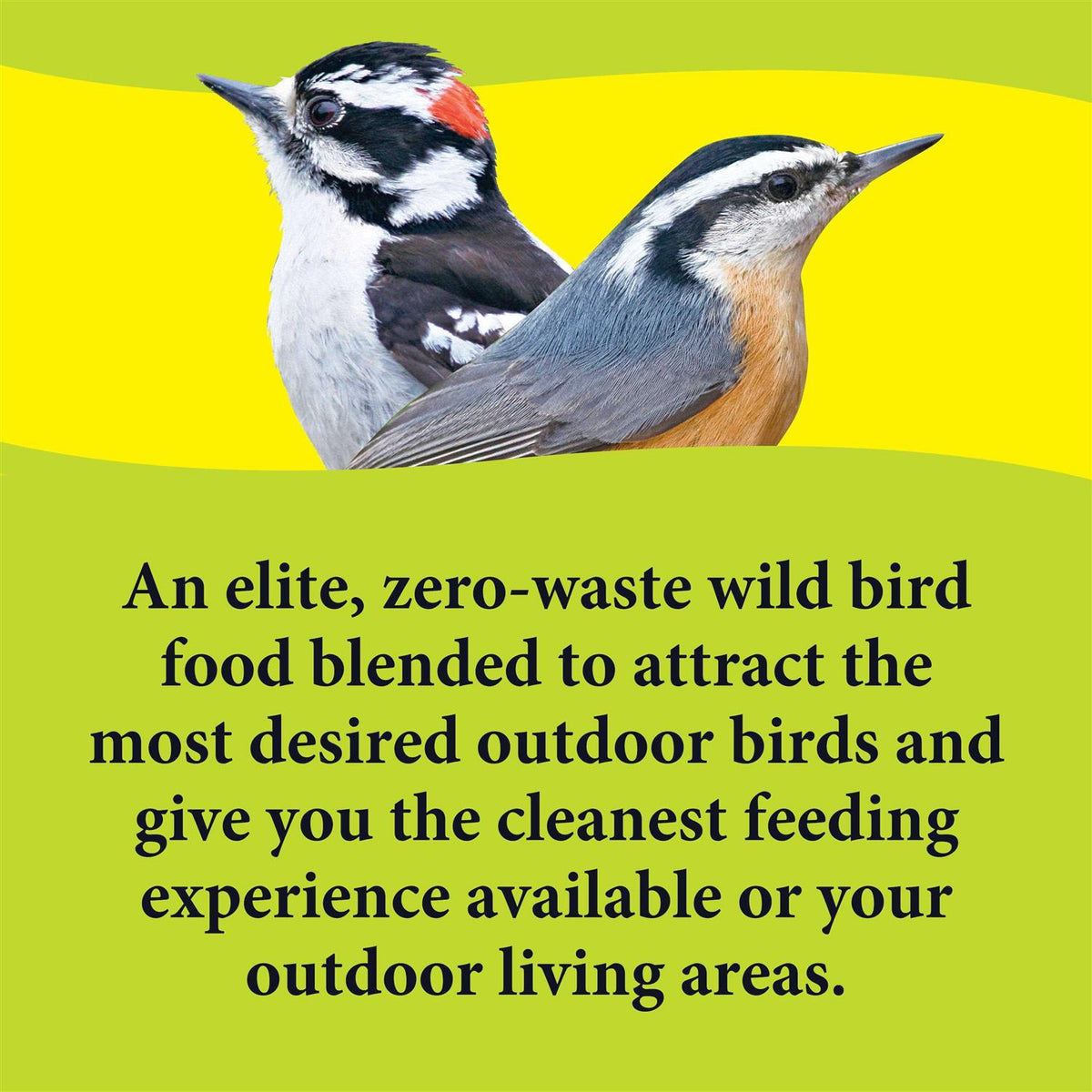 Deck Porch Patio Blend Wild Bird Food F922