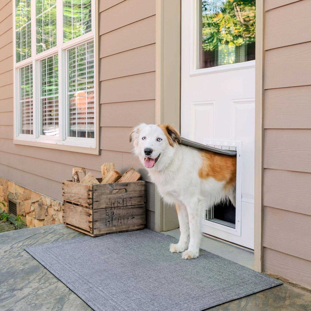 Aluminum Pet Door F64882