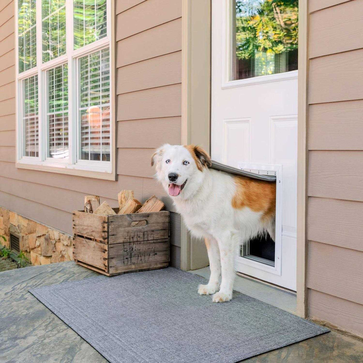 Aluminum Pet Door F64882