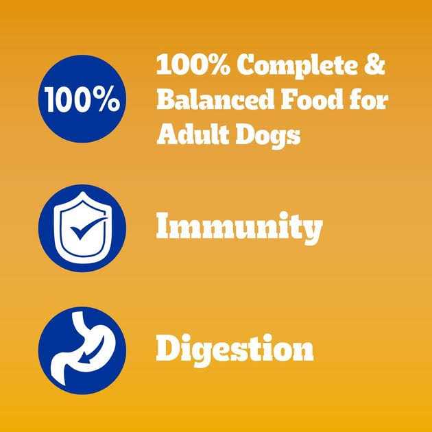 Chicken Adult Dry Dog Food Q913139