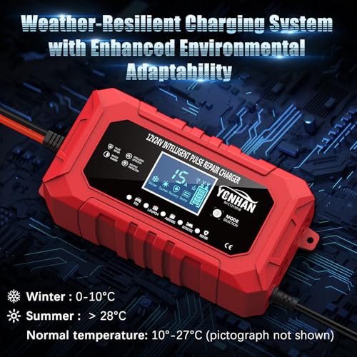 12V/24V LiFePO4 & Lead Acid Car Battery Charger R306285