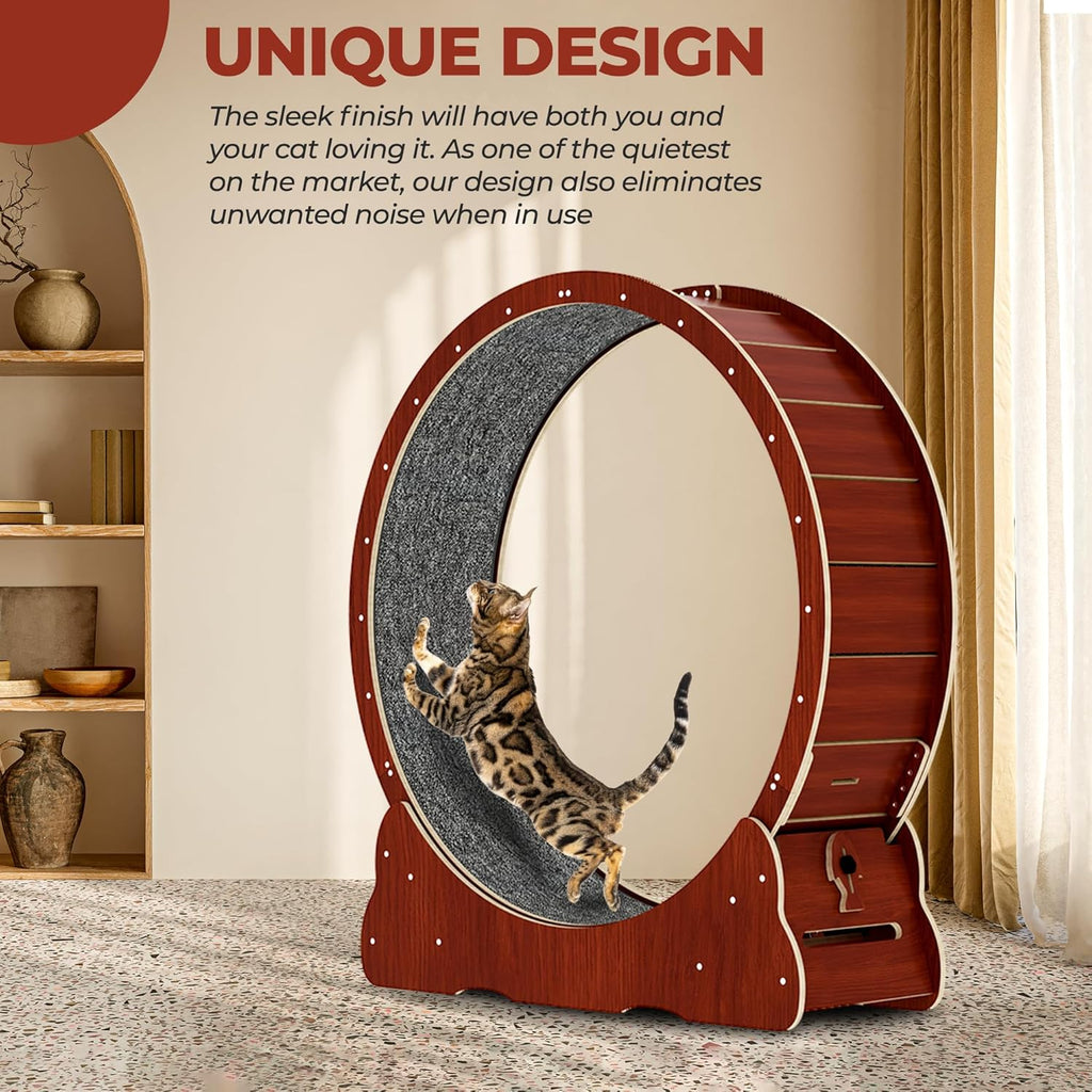Cat Exercise Wheel D2346
