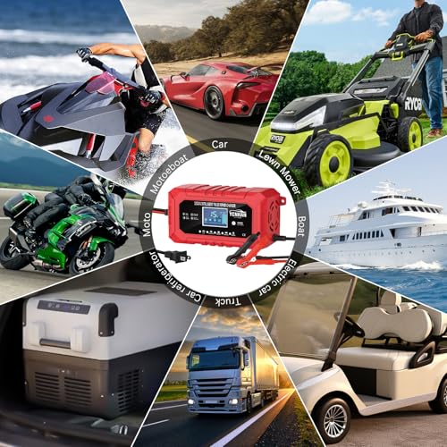12V/24V LiFePO4 & Lead Acid Car Battery Charger R306285