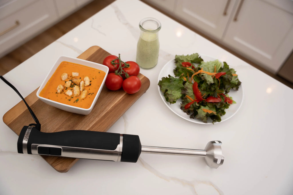 Immersion Hand Blender Stainless Steel W73098