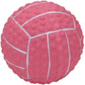 Latex Mini Volleyball for Dogs B474