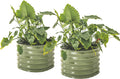 17" Tall 24" Wide Olive Green Gardening S996875
