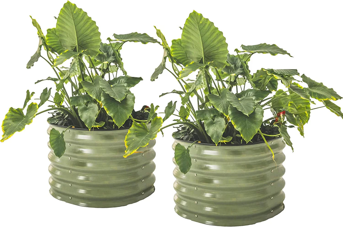 17" Tall 24" Wide Olive Green Gardening S996875