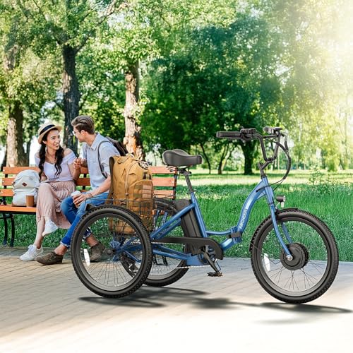 24" 499Wh Folding 3 Wheel Electric Tricycle Y176