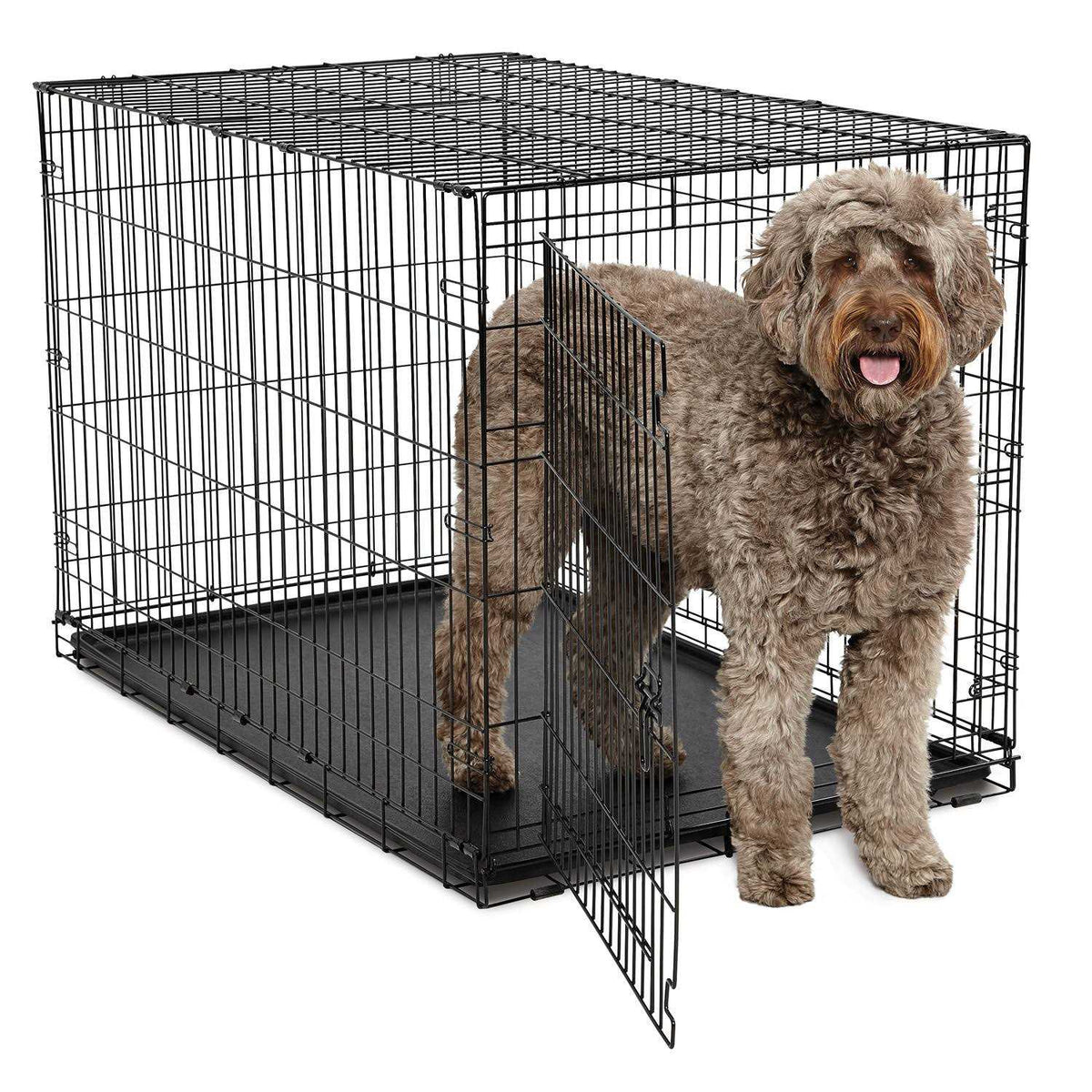 Single-Door Dog Crate V62855