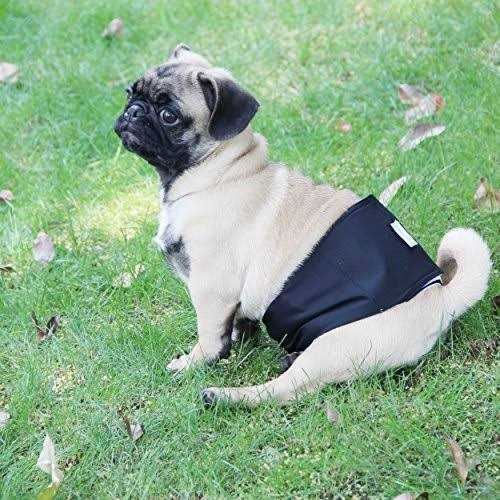 Washable Dog Diapers Male Dog Belly Wrap T147