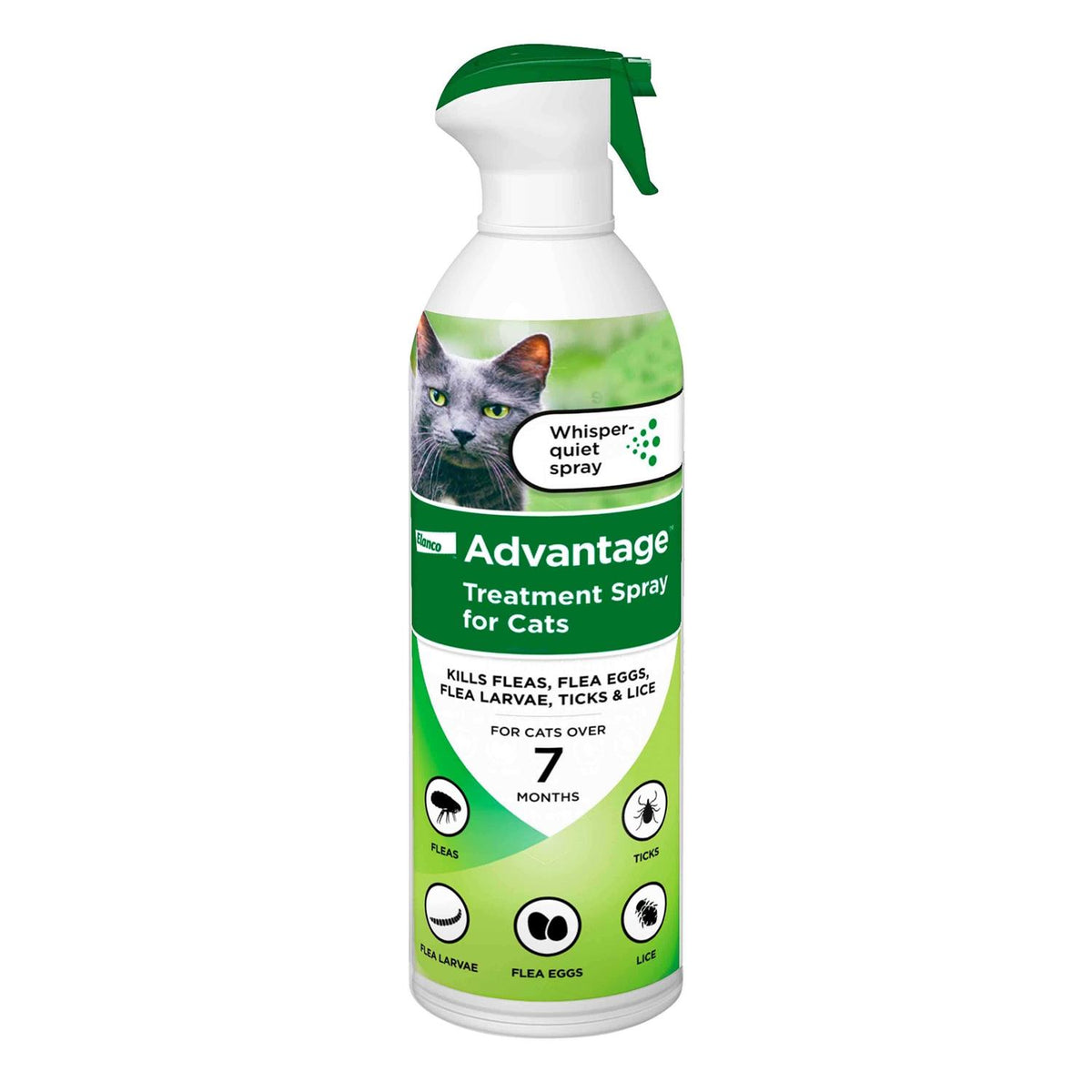 Flea Treatment Spray for Cats X29686