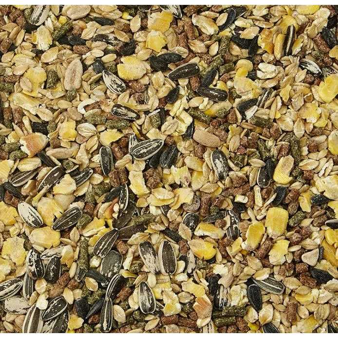 Mouse Rat Food U893164
