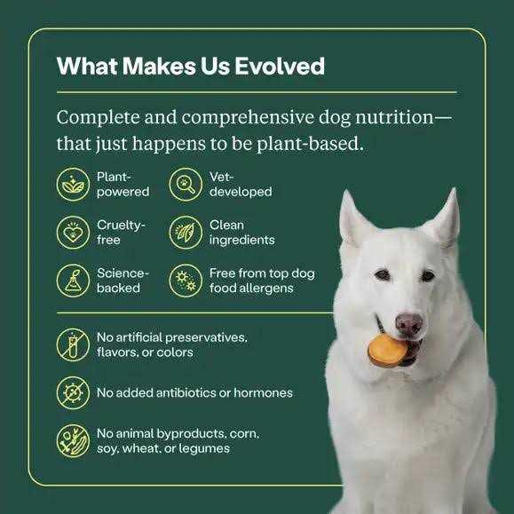 Golden Rotisserie Flavor Dry Dog Food X44335
