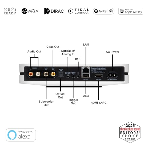 Black Wireless Hi-Res Music Streamer X21220