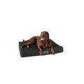 Orthopedic Dog Bed T59203