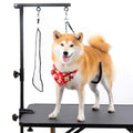 Dog Grooming Table Arm with Clamp and Post S58936