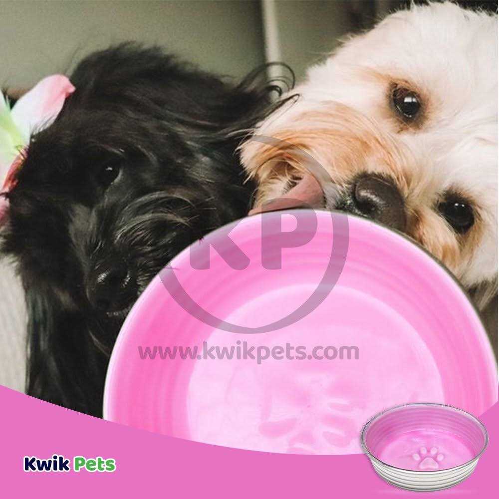 Pet Bowl D38278