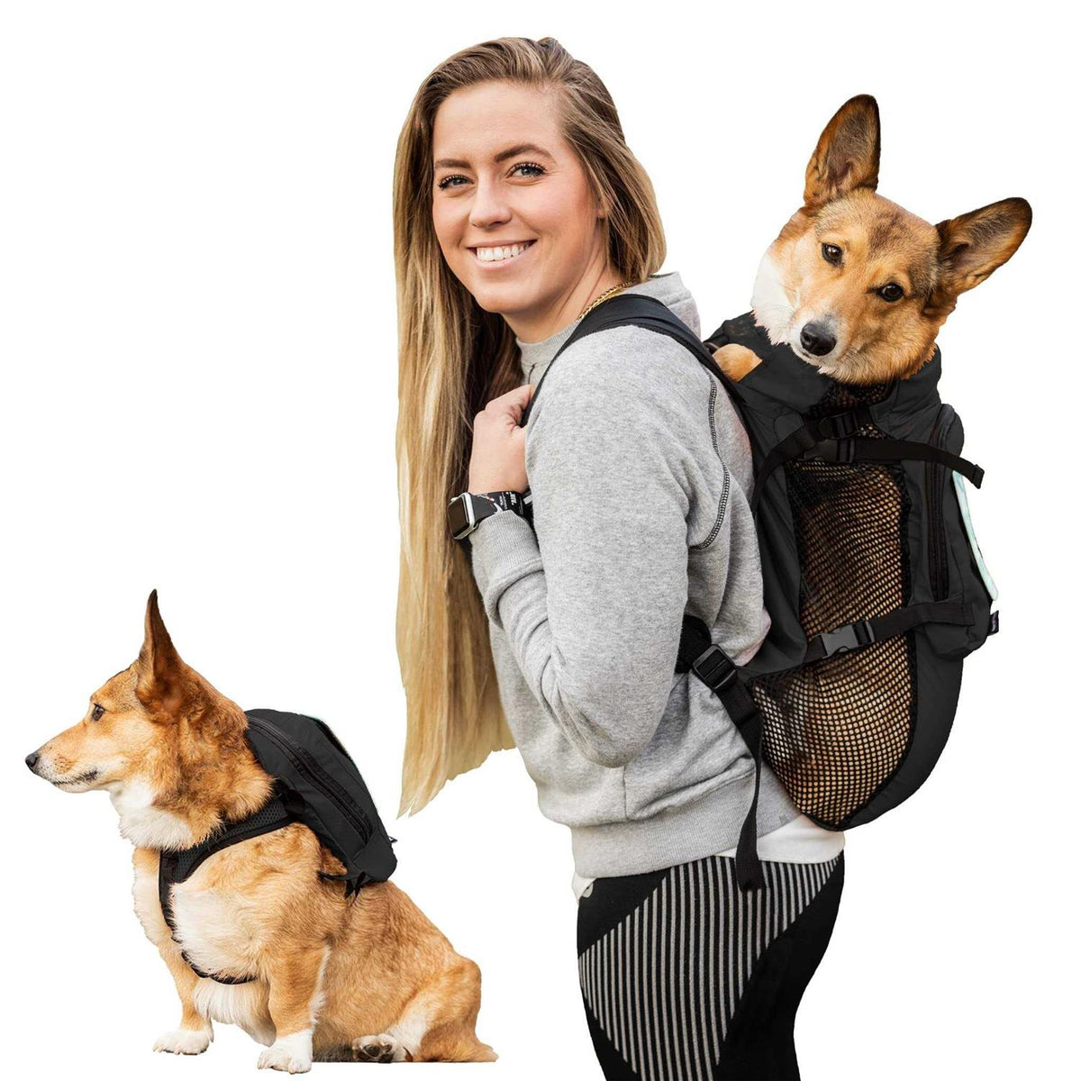 Walk On Dog Harness with Storage U767134