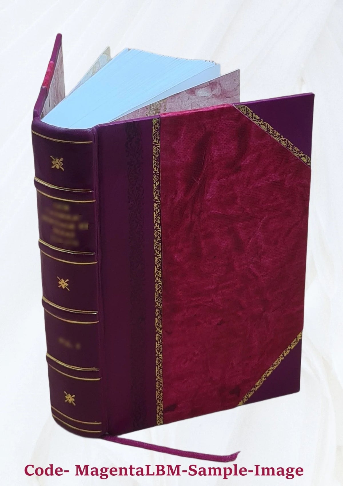 Leather Bound P4523