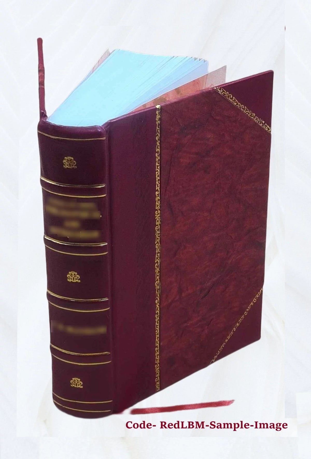 Leather Bound P4523