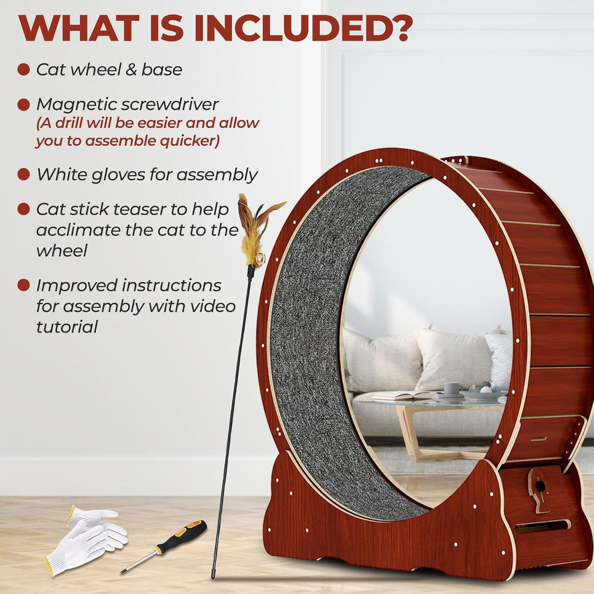 Cat Exercise Wheel D2346