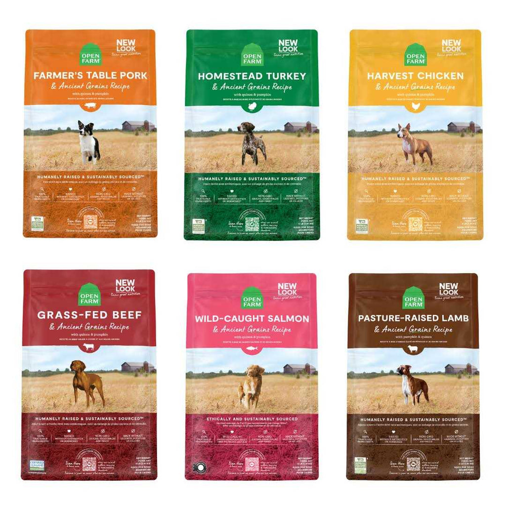 Chicken Ancient Grains Dry Dog Food L713