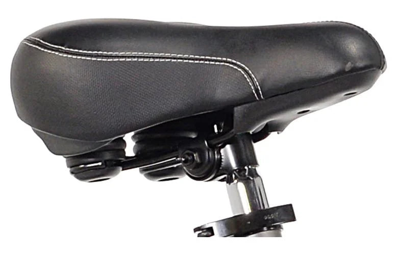 Gray Women's Mountain Bike A6750
