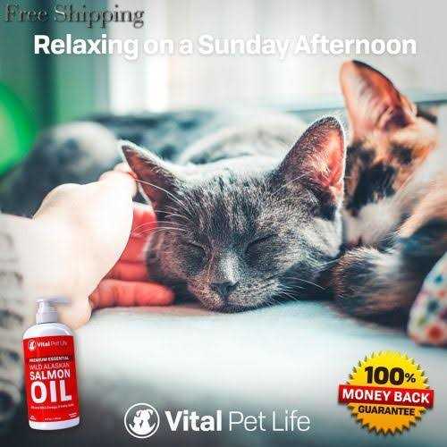 Salmon Oil for Dogs & Cats J798260