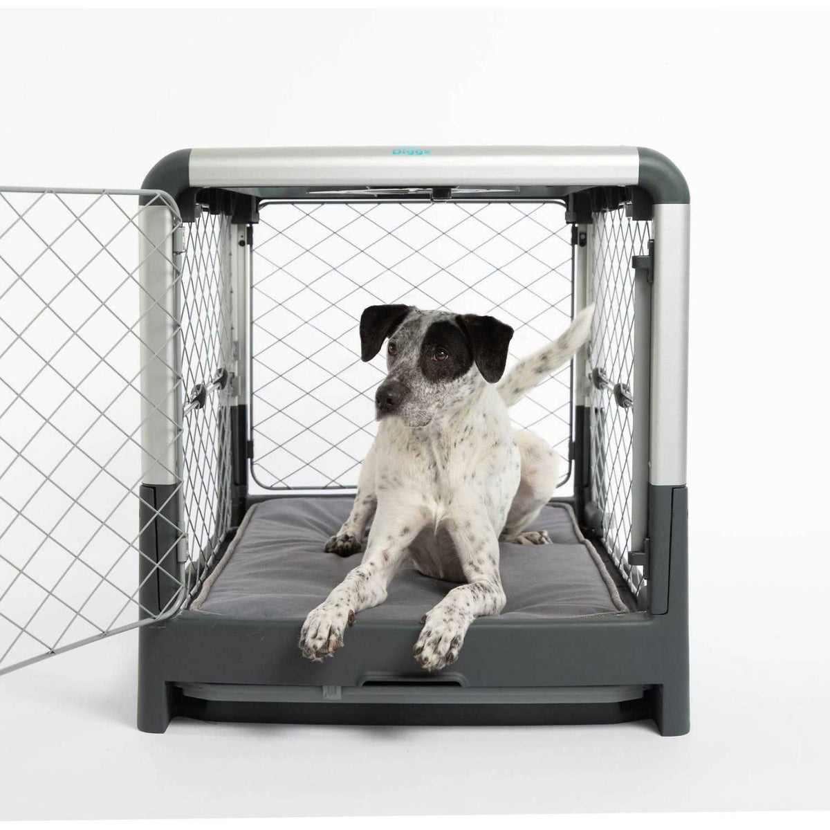 Memory Foam Dog Bed Z592