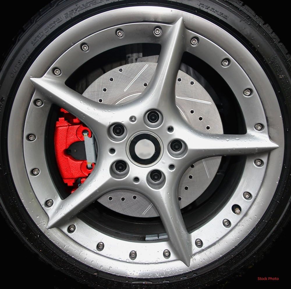 Rear Semi-Loaded Caliper Pair with Clips Kit N39218