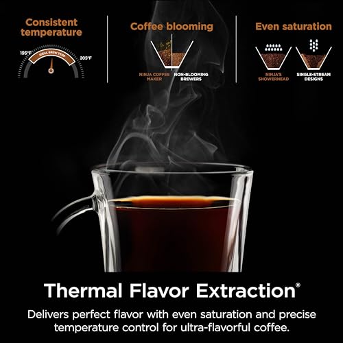 Black Coffee Maker with 4 Brew Styles, 12-Cup Carafe, Permanent Filter N652761