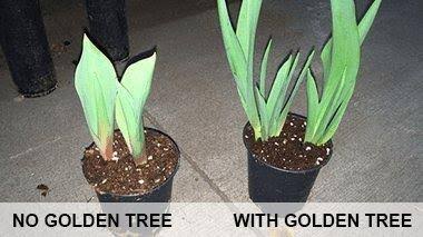 Plant Food for Plants and Trees C19847