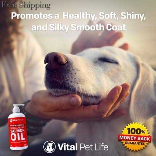 Salmon Oil for Dogs & Cats J798260