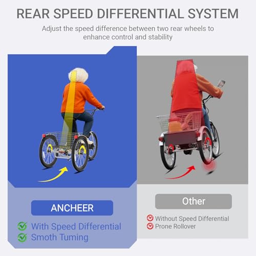 24" 499Wh Folding 3 Wheel Electric Tricycle Y176