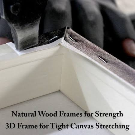 Canvas Art V3222
