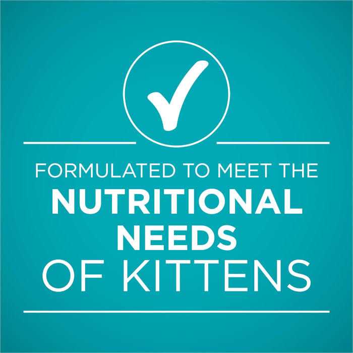 Grain Free Chicken & Salmon Pate Wet Cat Food O1828