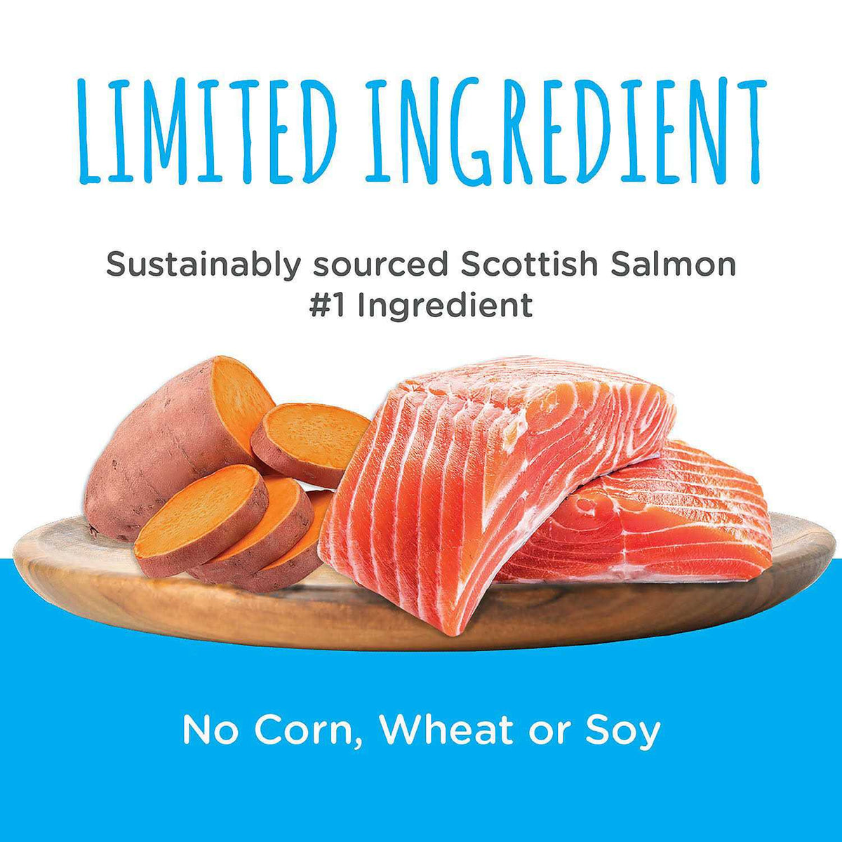 Scottish Salmon Bites Dog Treats B159342