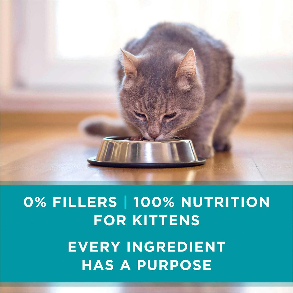 Grain Free Chicken & Salmon Pate Wet Cat Food O1828