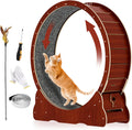 Cat Exercise Wheel D2346