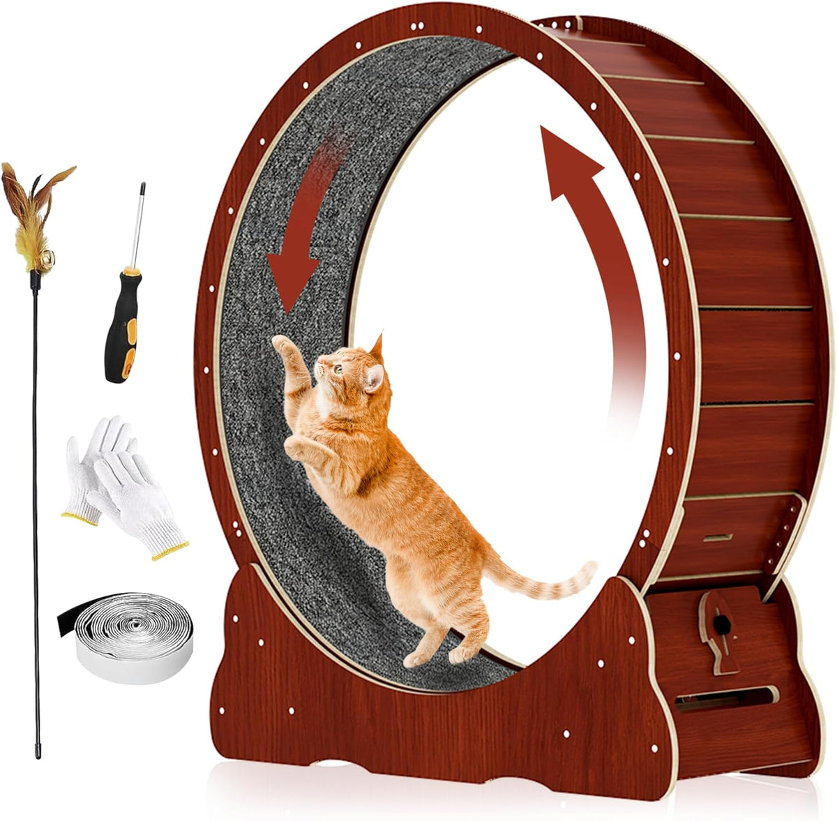 Cat Exercise Wheel D2346