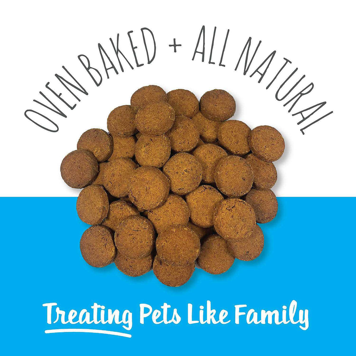 Scottish Salmon Bites Dog Treats B159342