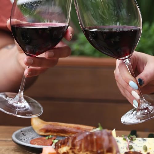 Non-Alcoholic Premium Merlot Cabernet Franc Red Blend Red Wine F96694