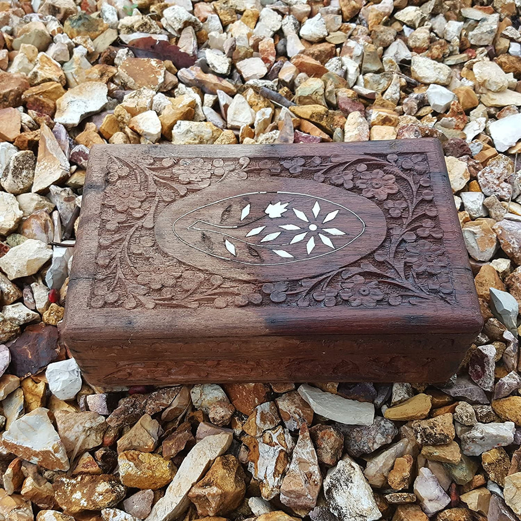 Wood Restoration Kit - Walnut B3989
