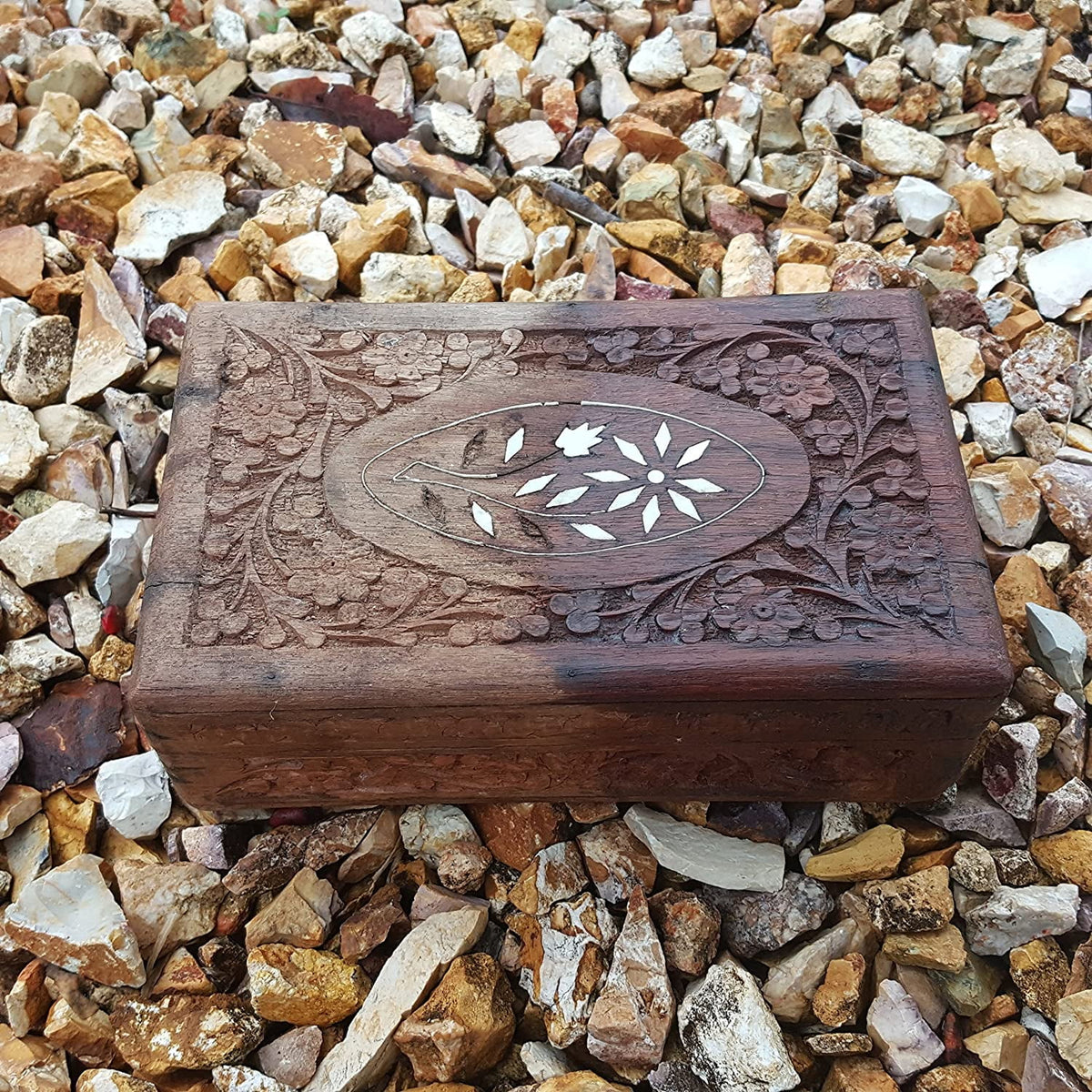 Wood Restoration Kit - Walnut B3989