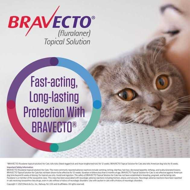Bravecto Topical Solution for Cats P144